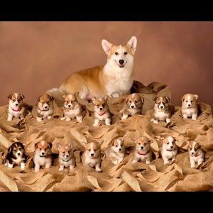 Meet your Posher, Mary anne